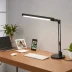 LightingEver LED Desk Lamp