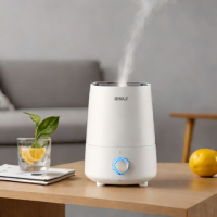 Levoit Essential Humidifier
