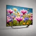 LG C2 OLED