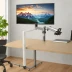 LOCTEK Monitor Arm