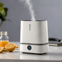 Levoit LV600 Compact Cool Mist Humidifier