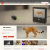 Laser Pointer (Cat)