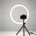 Lumea 14-Inch LED Ring Light