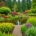 Lloyd Botanical Garden