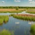 Lulu Lake Prairie