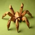 Lang's Tarantula