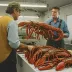Lobster Wars