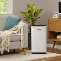 LEVOIT David Air Purifier