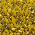 Legrandite