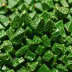 Libethenite