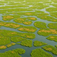 Liaohe Delta
