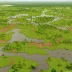Logone Floodplain