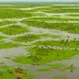 Lake Tana Wetlands