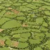 Lakenheath Warren