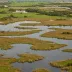 Leighton Moss