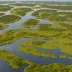 Liminganlahti Wetland