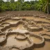 Las Pailas Mud Pots (Rincón de la Vieja)