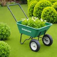 Little Buggy Wheelbarrow