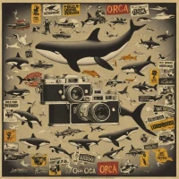 Lomography Black Orca 110