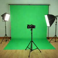 Lumaverse Chroma Key Green Screen