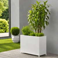 Lechuza Ponte Self-Watering Planter