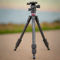 Leofoto LS-254C Tripod with LH-36 L-Bracket Head