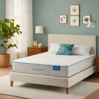 Linenspa Gel Memory Foam Mattress