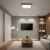 Lutron Caseta Smart Hub