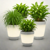 Lumina Glow-in-the-Dark Planters