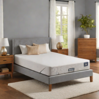 Lucid Foldable Memory Foam Mattress