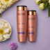 LOréal Elvive Hyaluron + Plump Shampoo