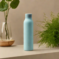 LARQ Bottle PureVis