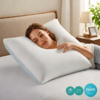 Linenspa Gel Memory Foam Pillow