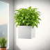 Lechuza Urban Cube GS Hanging Planter