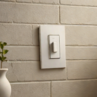 Lutron Caséta Smart Dimmer Switch Starter Kit