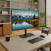 LG UltraFine Display Ergo 32UN880-B