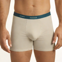Lazzarini Essentials Boxer Brief