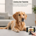 Linkind Pet Camera