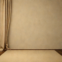 Linen Backdrop - Beige