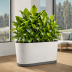 Lechuza Terra Cortina Planter