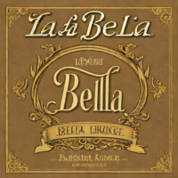 La Bella Dark Bronze .010-.046