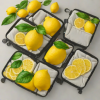 Lemons 6 Set Packing Cubes