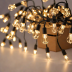 LEP LED String Lights