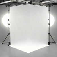 Lib Technologies Flyer 7'6"