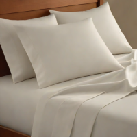 L.L.Bean Bamboo Sheets