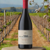 Mount Langi Ghiran Birdsong Pinot Noir