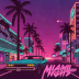 Miami Nights 1984 - Gunship
