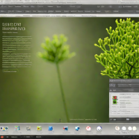 Modern Digital Botanical Art Commissions