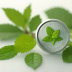 Mint (Credit Monitoring)