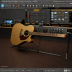 Masterbilt Dreadnought-Premium